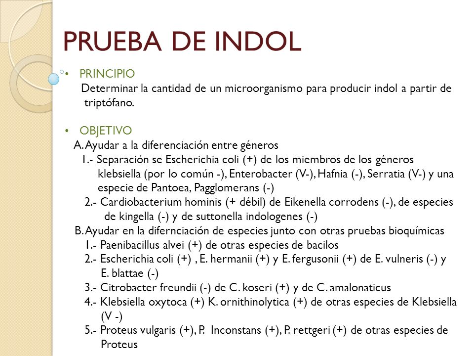 De para proteus indol prueba